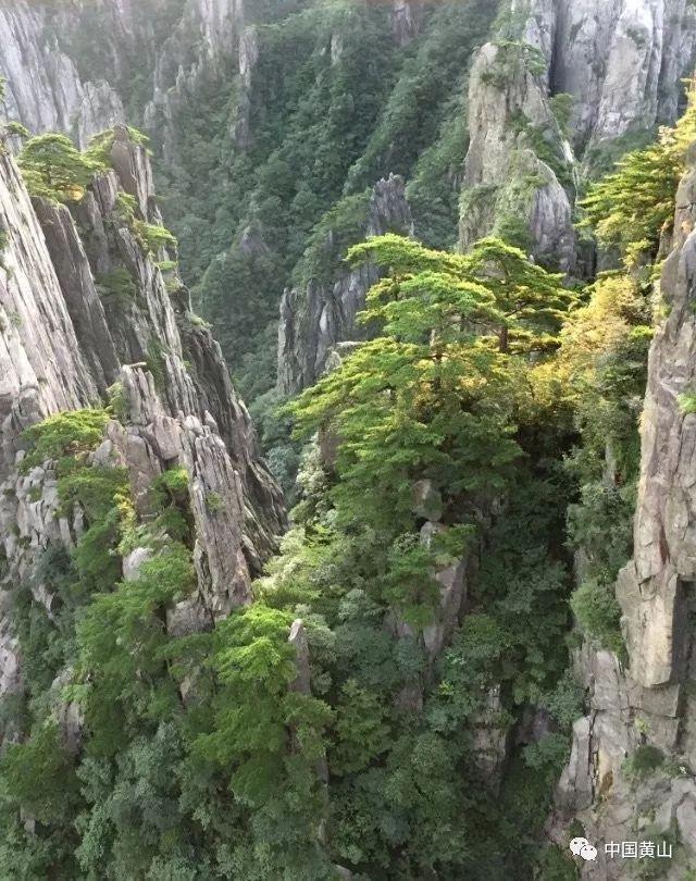福建厦门:在无居民海岛守护海豚